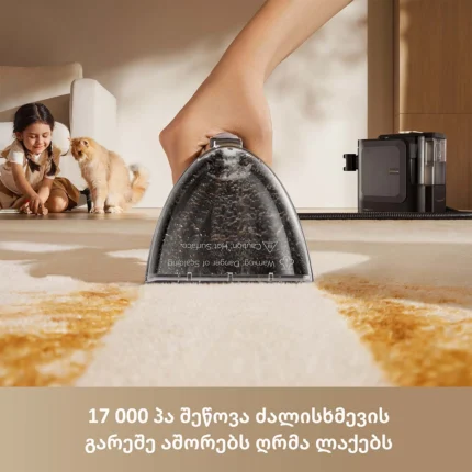 Dreame N20 Steam - სურათი 6